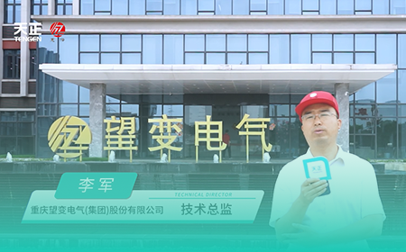 爱游戏体育x望变电气